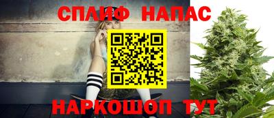 стаф Краснознаменск