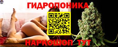 стафф Краснокаменск