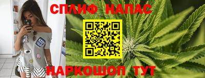 гидра Краснодар