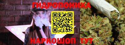 стаф Краснознаменск