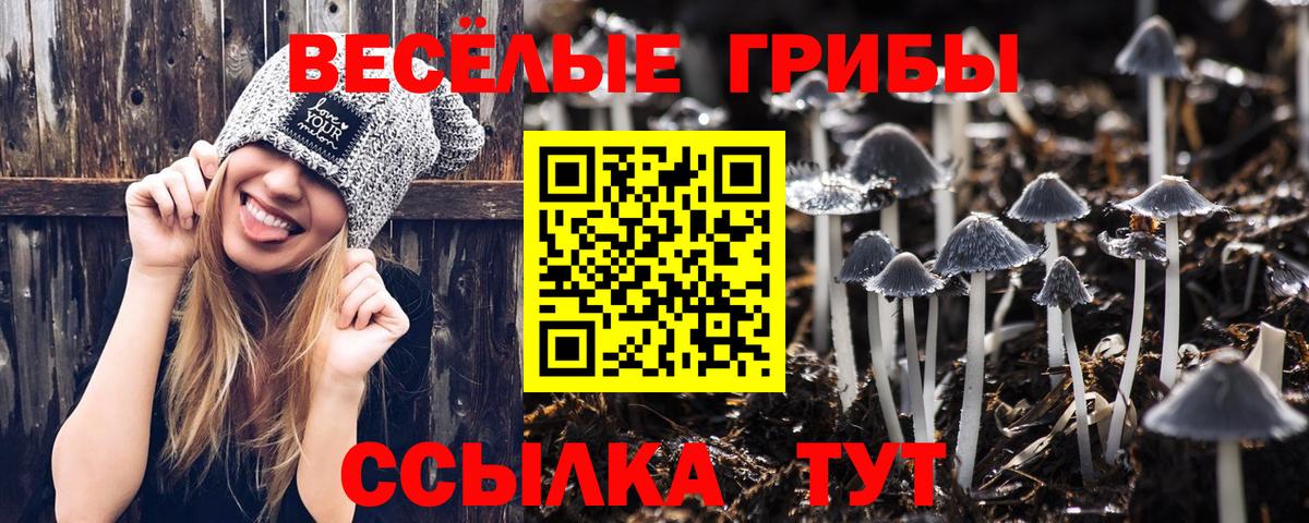 Клин  Псилоцибиновые грибы мухоморы  Вход с VPN 